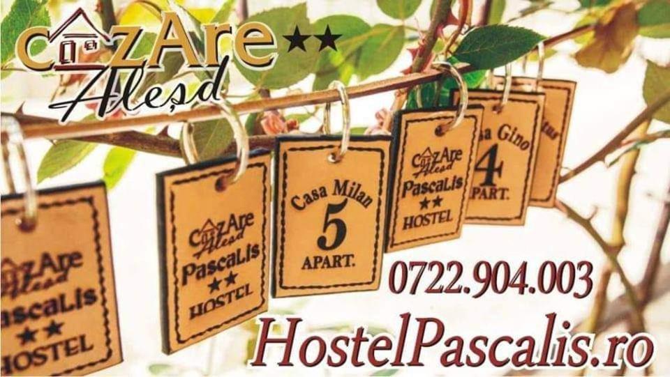 Hostel Pascalis Alesd Экстерьер фото