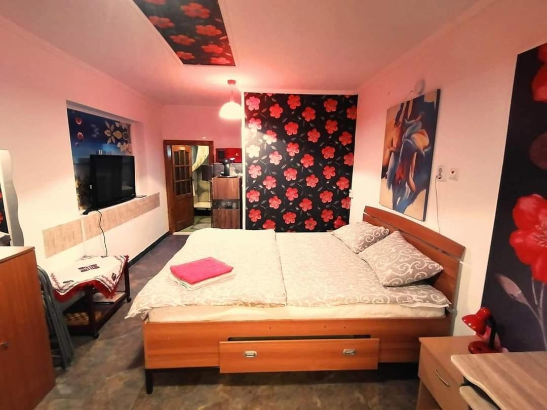 Hostel Pascalis Alesd Номер фото