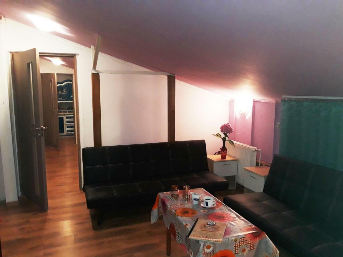 Hostel Pascalis Alesd Экстерьер фото